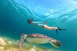 Excursion privée à Hurghada Snorkeling avec des tortues dans la baie d’Abu Dabab