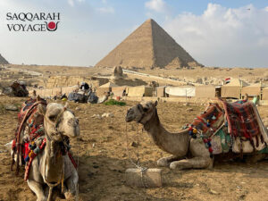 Excursion d’une journée au départ d’Hurghada au Caire et aux pyramides en avion
