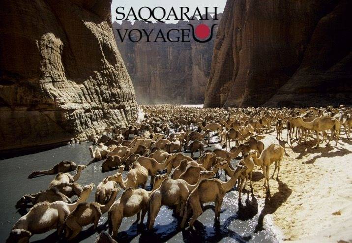 Parc national Wadi El Gamal