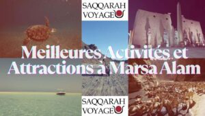 Meilleures Activités et Attractions à Marsa Alam