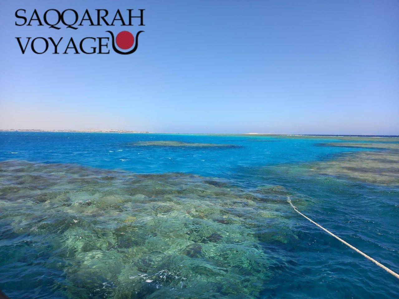 Croisières en bateau et pêche en haute mer