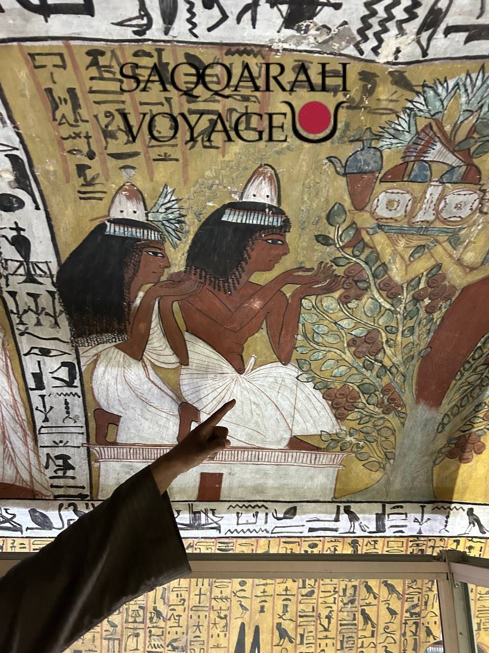 Excursion à Louxor au départ de Marsa Alam | Avec Guide francophone 2025