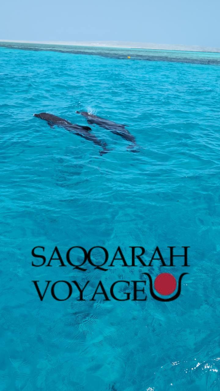 Que faire à Hurghada ?