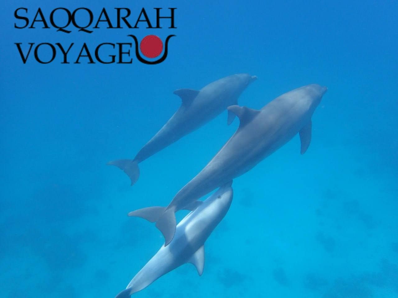 Que faire à Hurghada ?