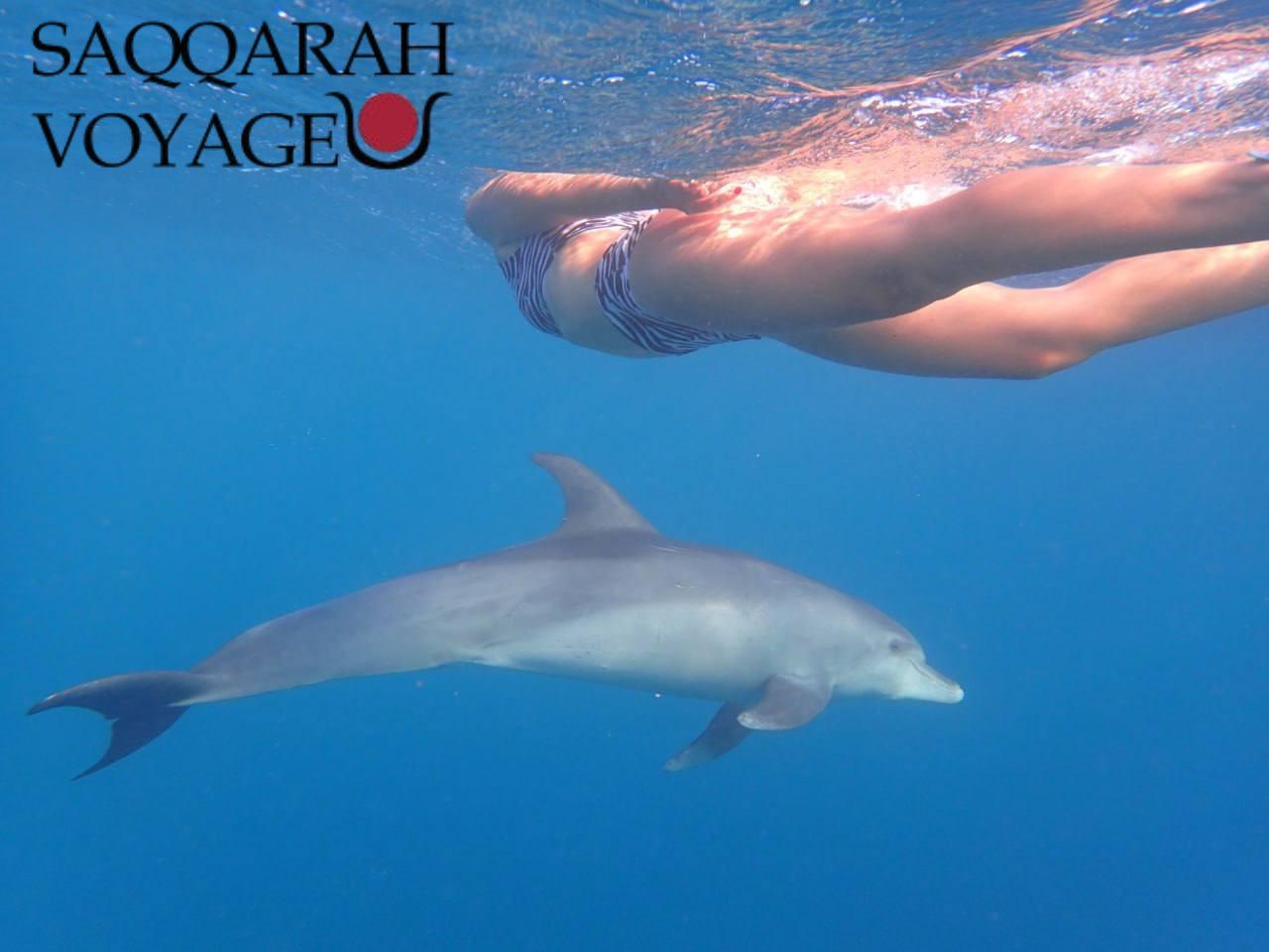 Que faire à Hurghada ?