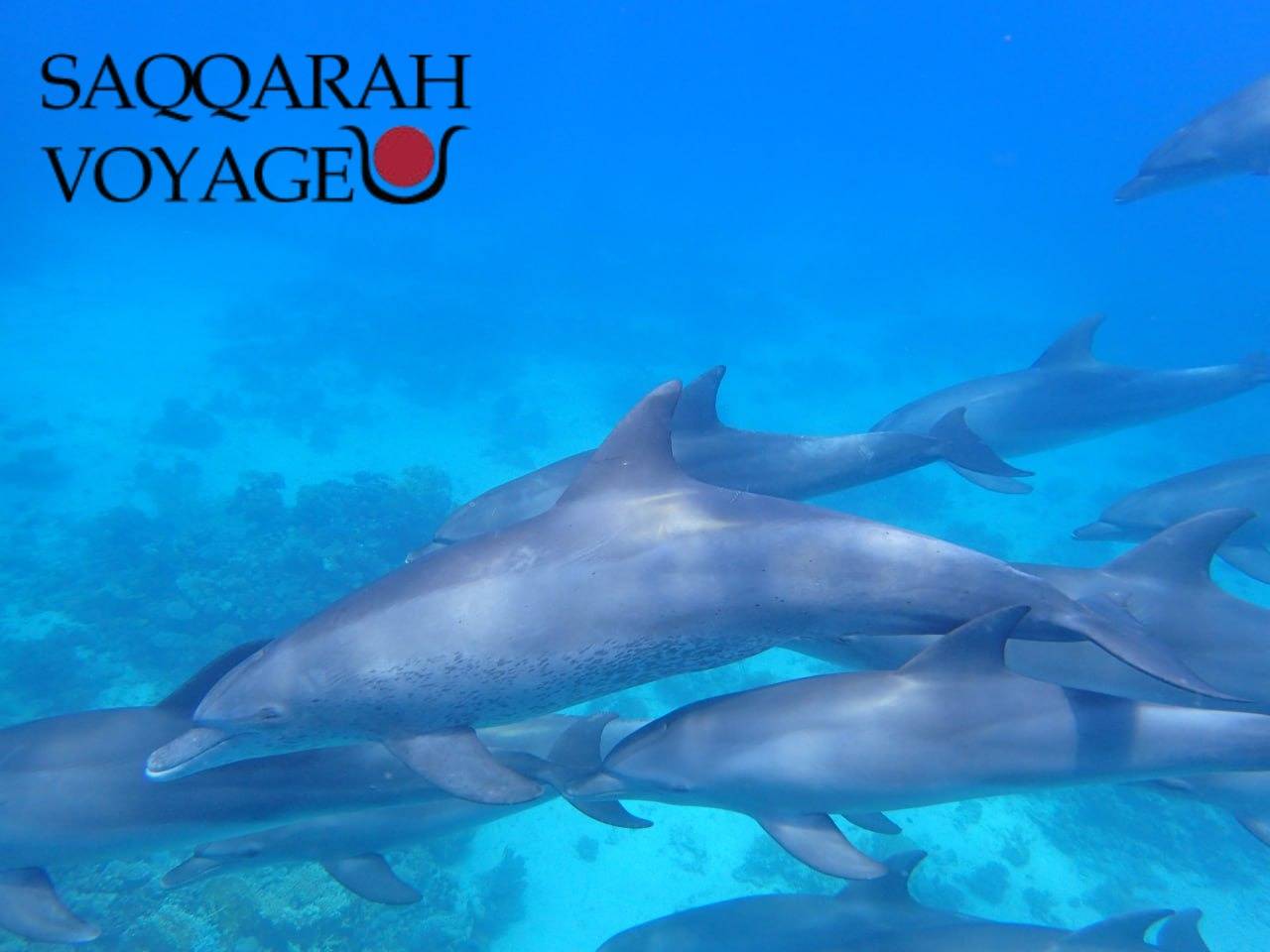 Excursions à Hurghada | réserver à l’avance