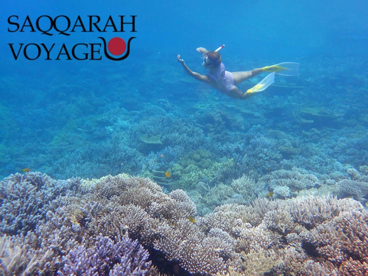 Excursions à Hurghada | réserver à l’avance