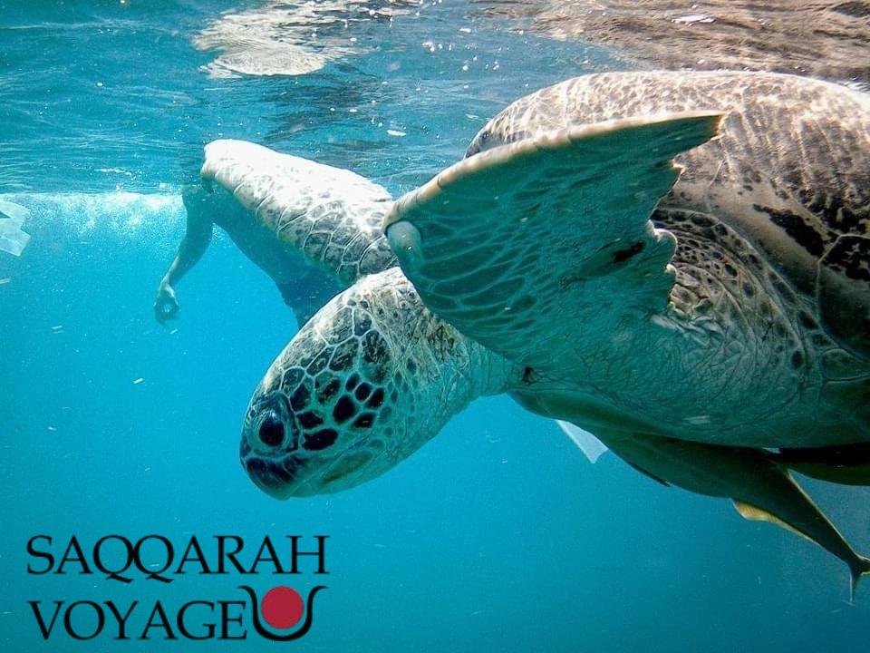 Excursions à Hurghada | réserver à l’avance