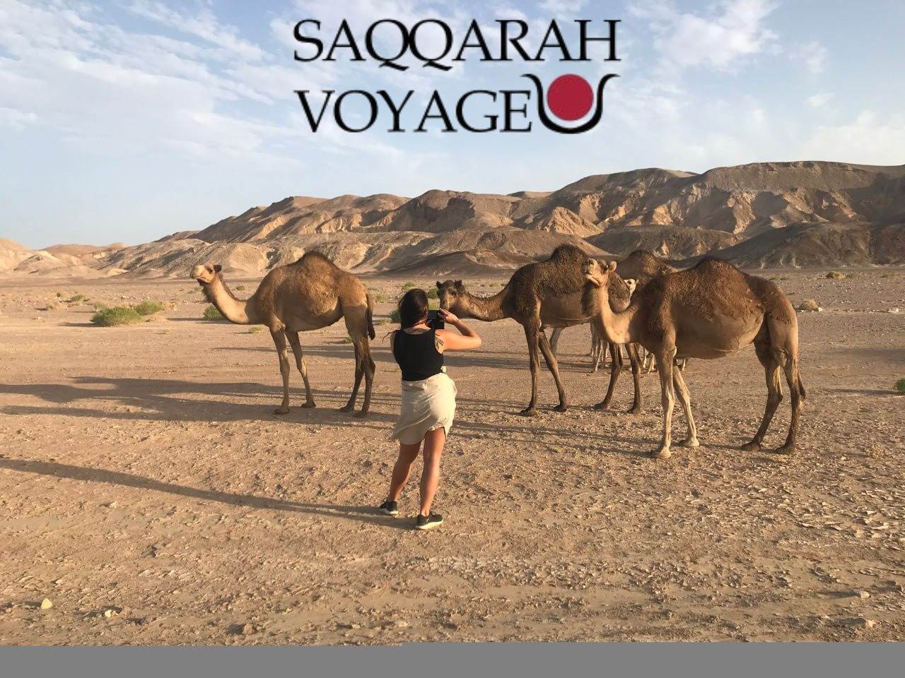 Dîner bédouin sous les étoiles