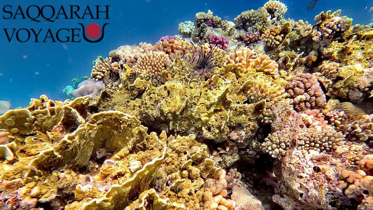 Excursion Orange Bay à Hurghada – snorkeling à Hurghada