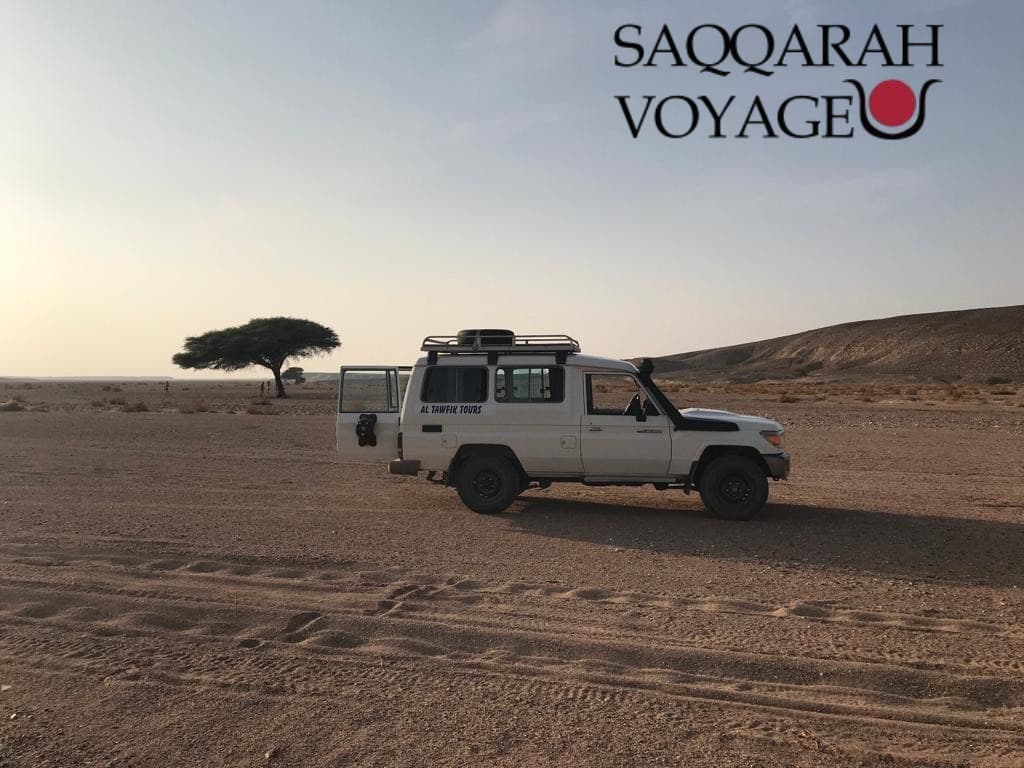 Der Wüstenname in der Nähe von Hurghada ist "Zentralägyptische Wüste".
Diese faszinierende Wüste erstreckt sich über ein großes Gebiet und bietet atemberaubende Landschaften.
Sie ist bekannt für ihre Sanddünen, Felsen und einzigartige Flora und Fauna.
Besucher können hier aufregende Abenteuer erleben, wie zum Beispiel Jeep-Safaris oder Kamelreiten.
Es ist ein beliebtes Ziel für Touristen, die die Schönheit der ägyptischen Wüste entdecken möchten.