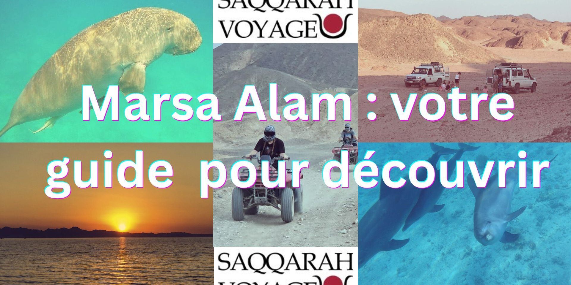 Marsa Alam : votre guide pour découvrir