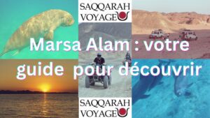 Marsa Alam : votre guide pour découvrir