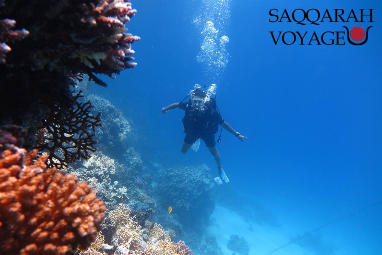 Îles paradisiaques – Journées détente sur les plages d’Orange Bay et Paradise Island