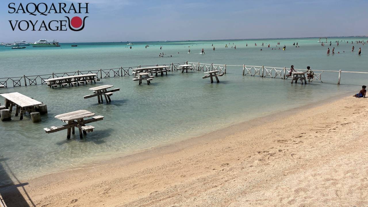 Parcs aquatiques et aquariums – Divertissement familial à moindre coût