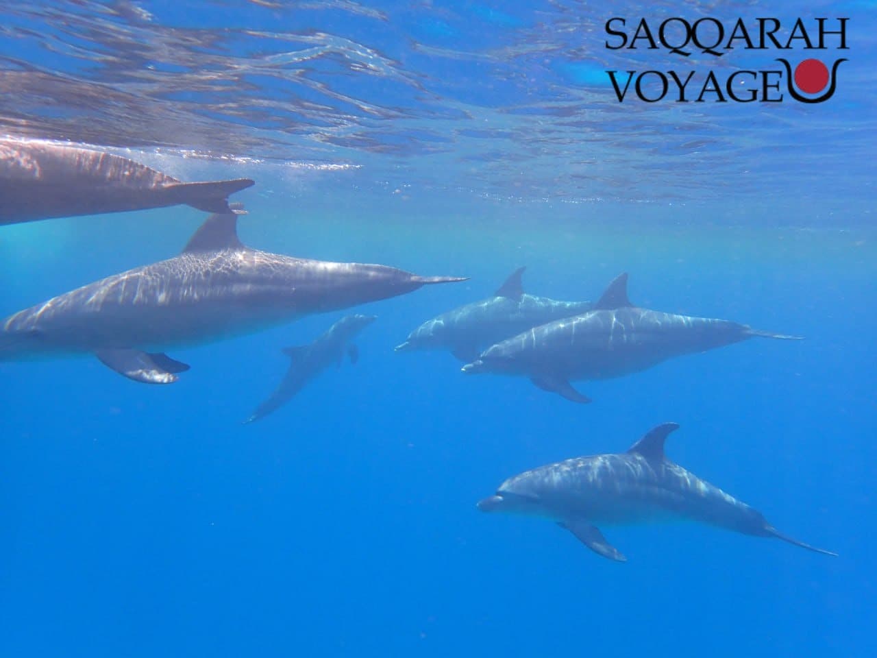 Hurghada Egypte : votre guide pour découvrir