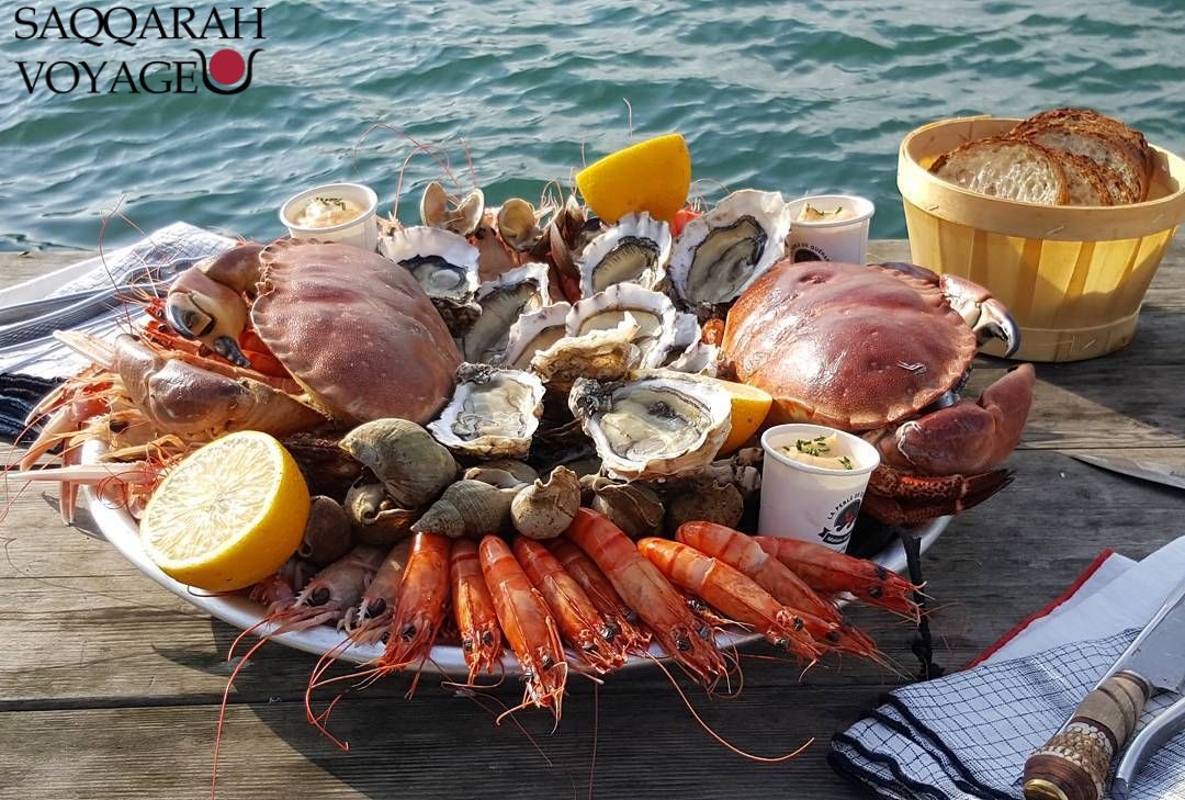 Déjeuner fruits de mer au bord de la mer à Ain Sokhna