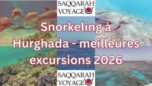 Snorkeling à Hurghada - meilleures excursions 2026