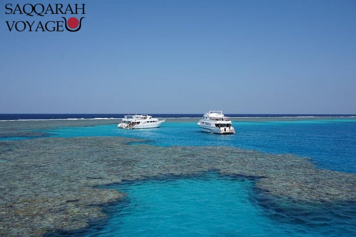 Marsa Alam : snorkeling