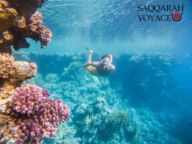 snorkeling Ain Sokhna