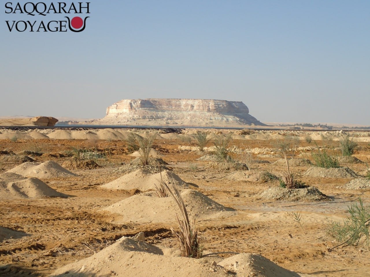 Quand visiter l’oasis de Siwa ? Meilleure période et climat