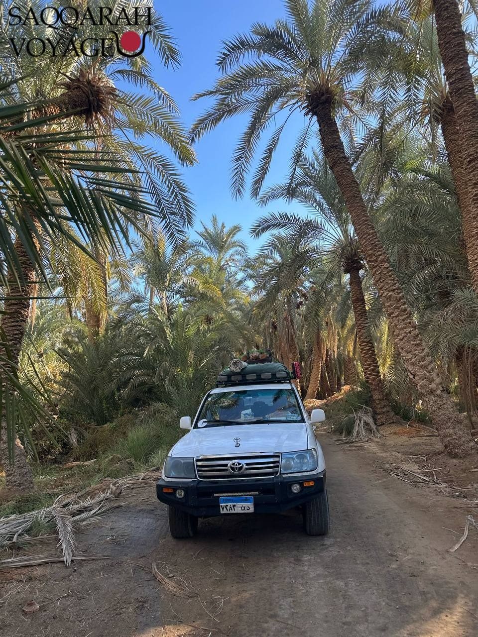 Que prévoir pour le désert blanc Égypte : conseils et équipements