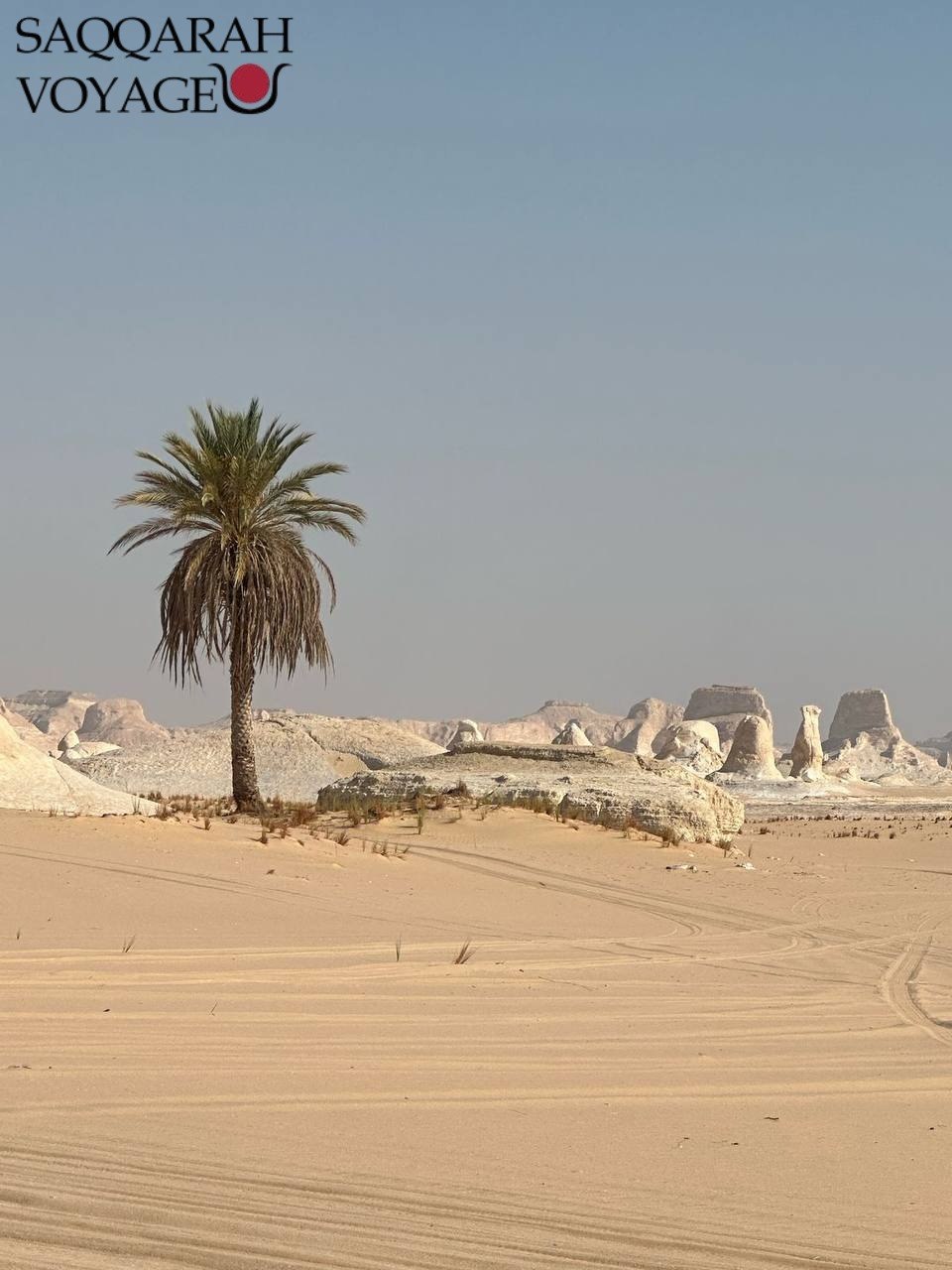 Que prévoir pour le désert blanc Égypte : conseils et équipements