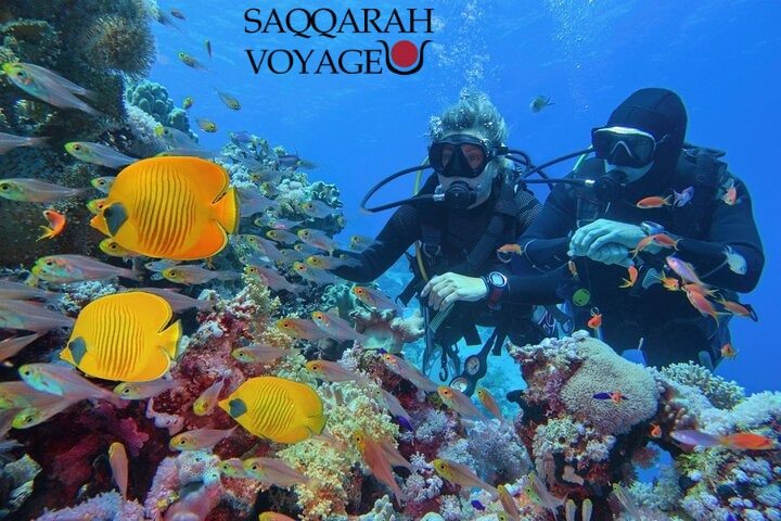 Marsa Alam : snorkeling
