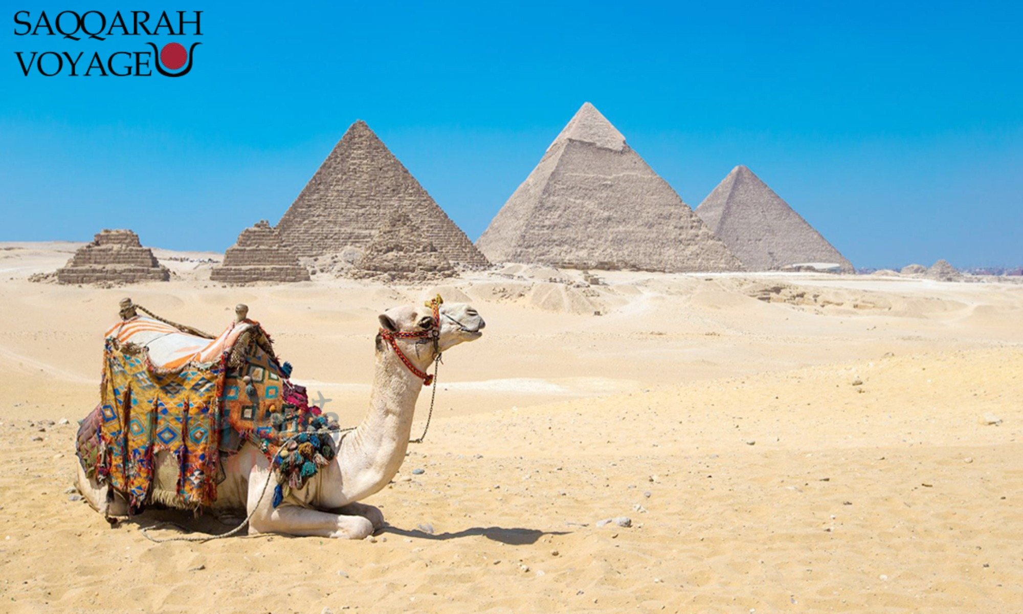 Voyage de 8 jours en Égypte : Croisière et mer Rouge 2026