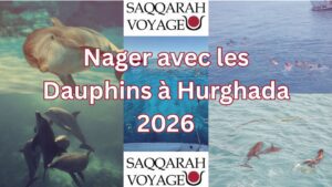 Nager avec les Dauphins à Hurghada 2026