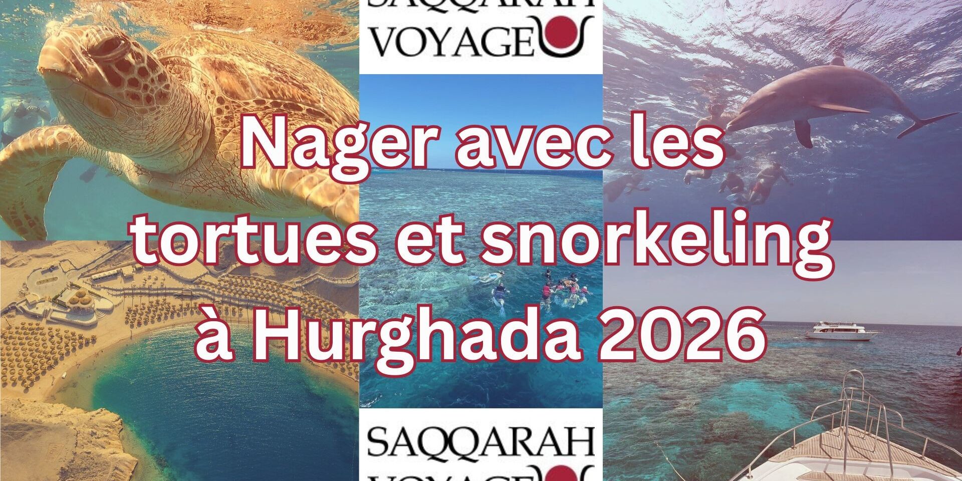 Nager avec les tortues et snorkeling à Hurghada 2026