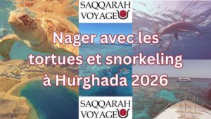 Nager avec les tortues et snorkeling à Hurghada 2026