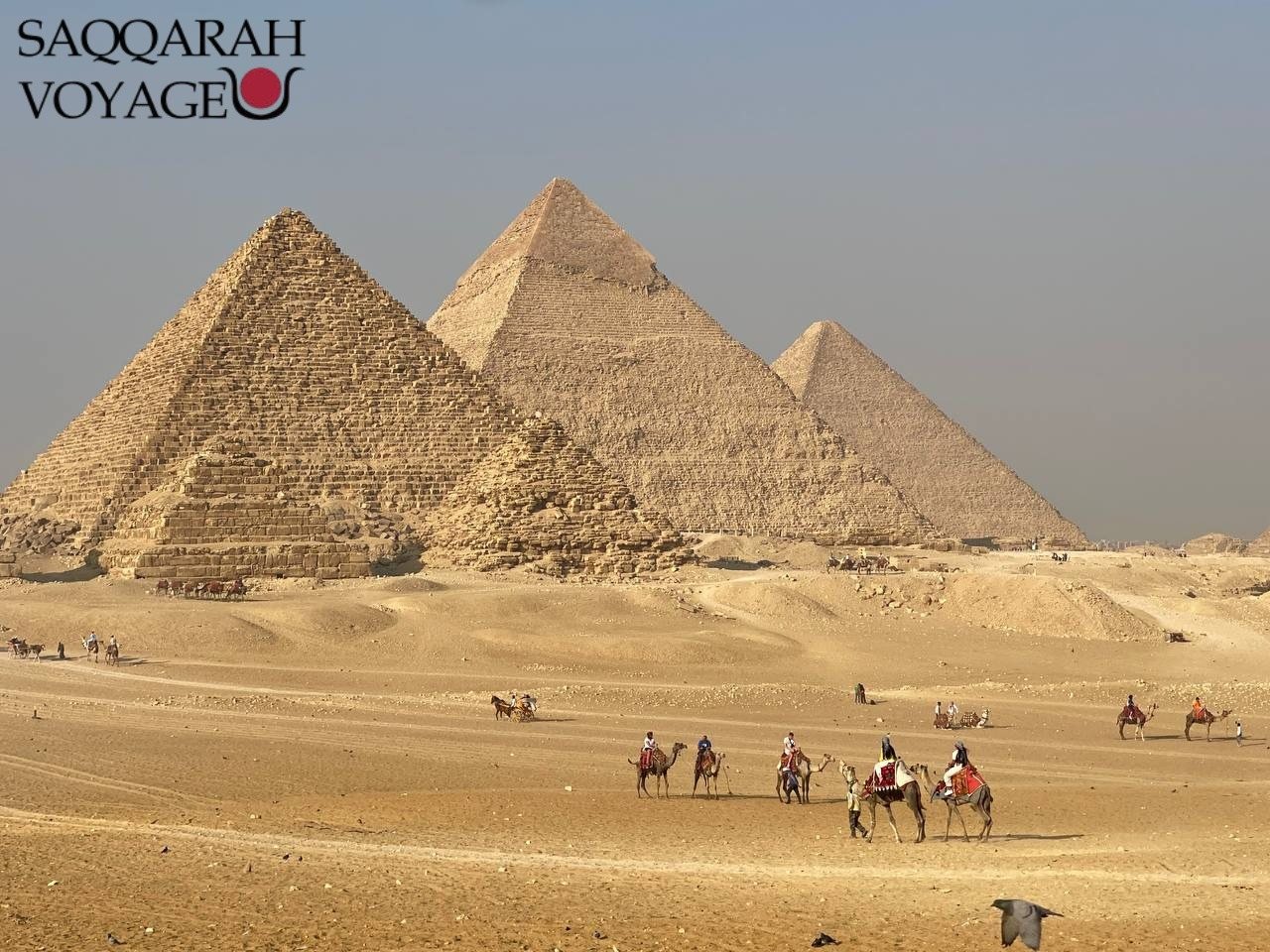 Visiter egypte - 1 semaines au pays des pharaons 2026