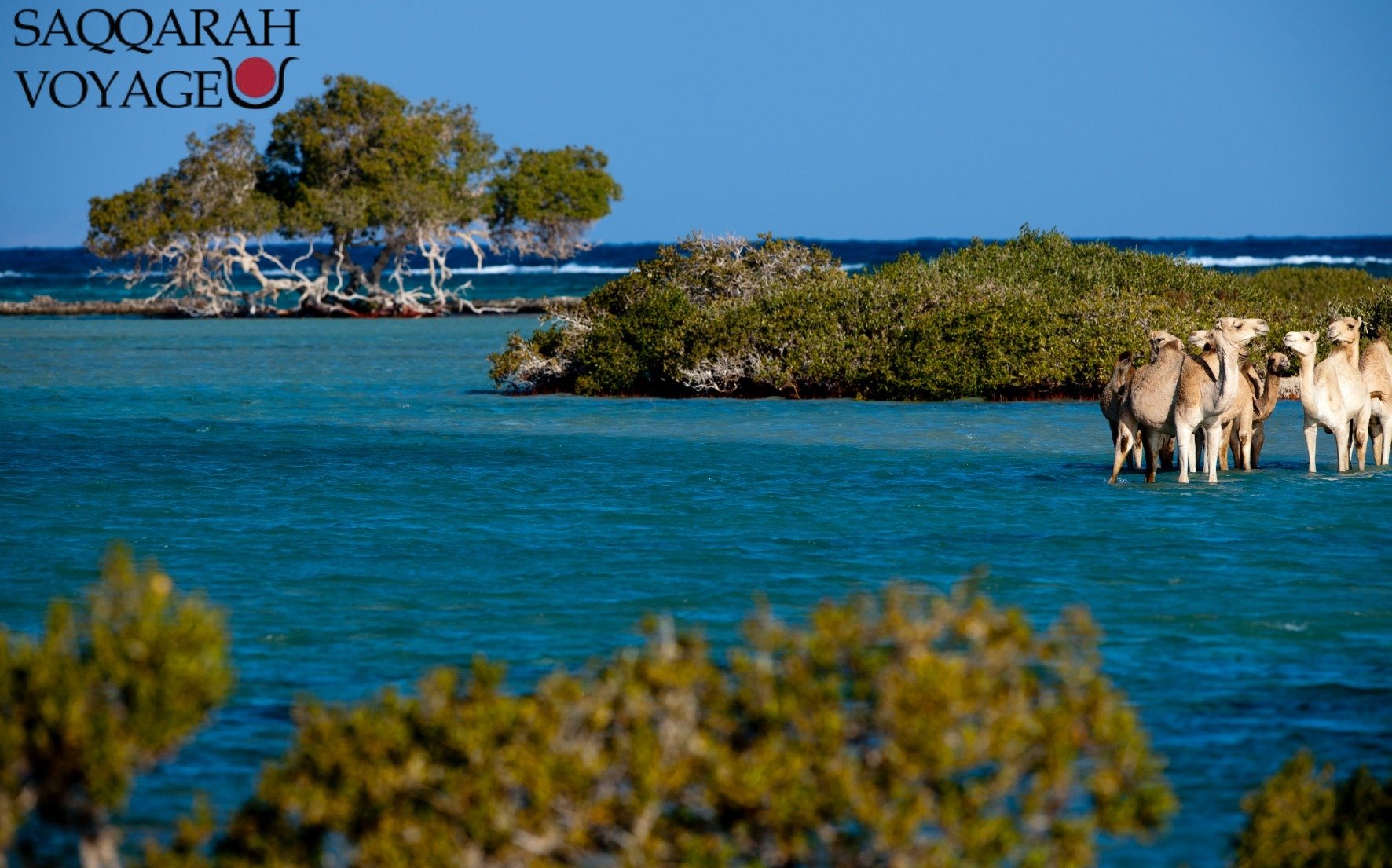 Marsa Alam