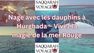 Nage avec les dauphins à Hurghada – Vivez la magie de la mer Rouge