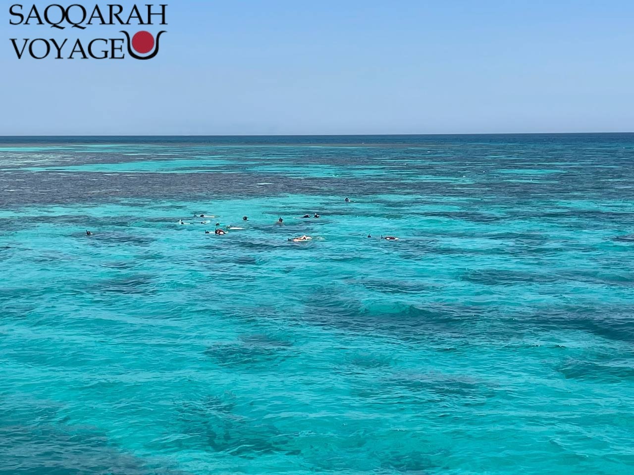 🌊 Deuxième sortie snorkeling : exploration d’un récif corallien Après la rencontre inoubliable avec les dauphins, votre excursion Nage avec les dauphins à Hurghada – Vivez la magie de la mer Rouge se poursuit avec une deuxième sortie snorkeling dédiée à la découverte d’un récif corallien préservé. Guidé par votre accompagnateur francophone, vous plongez dans un univers sous-marin fascinant, véritable jardin aquatique vivant. Le récif dévoile une richesse exceptionnelle : des poissons tropicaux multicolores évoluant en bancs scintillants, des coraux mous aux formes élégantes et ondulantes, et des coraux durs formant des structures massives, refuges d’innombrables espèces marines. Vous pourrez observer des poissons-papillons, des perroquets de mer, des demoiselles ou encore des mérous camouflés, chacun jouant son rôle dans cet écosystème fragile. Grâce aux explications de votre guide, vous comprendrez mieux l’équilibre de ce monde subaquatique et l’importance de protéger la mer Rouge, reconnue comme l’un des plus beaux sites de snorkeling au monde. Cette plongée libre est adaptée à tous les niveaux : les débutants profitent d’une surveillance attentive, tandis que les passionnés peuvent explorer plus en profondeur et perfectionner leur technique. L’expérience est aussi sensorielle : la sensation de glisser au-dessus d’un univers coloré, le silence apaisant de l’eau, la lumière du soleil jouant sur les coraux créent un moment de pure harmonie. Cette exploration du récif corallien complète parfaitement la rencontre avec les dauphins, vous offrant une vision globale et émouvante des trésors marins d’Hurghada.