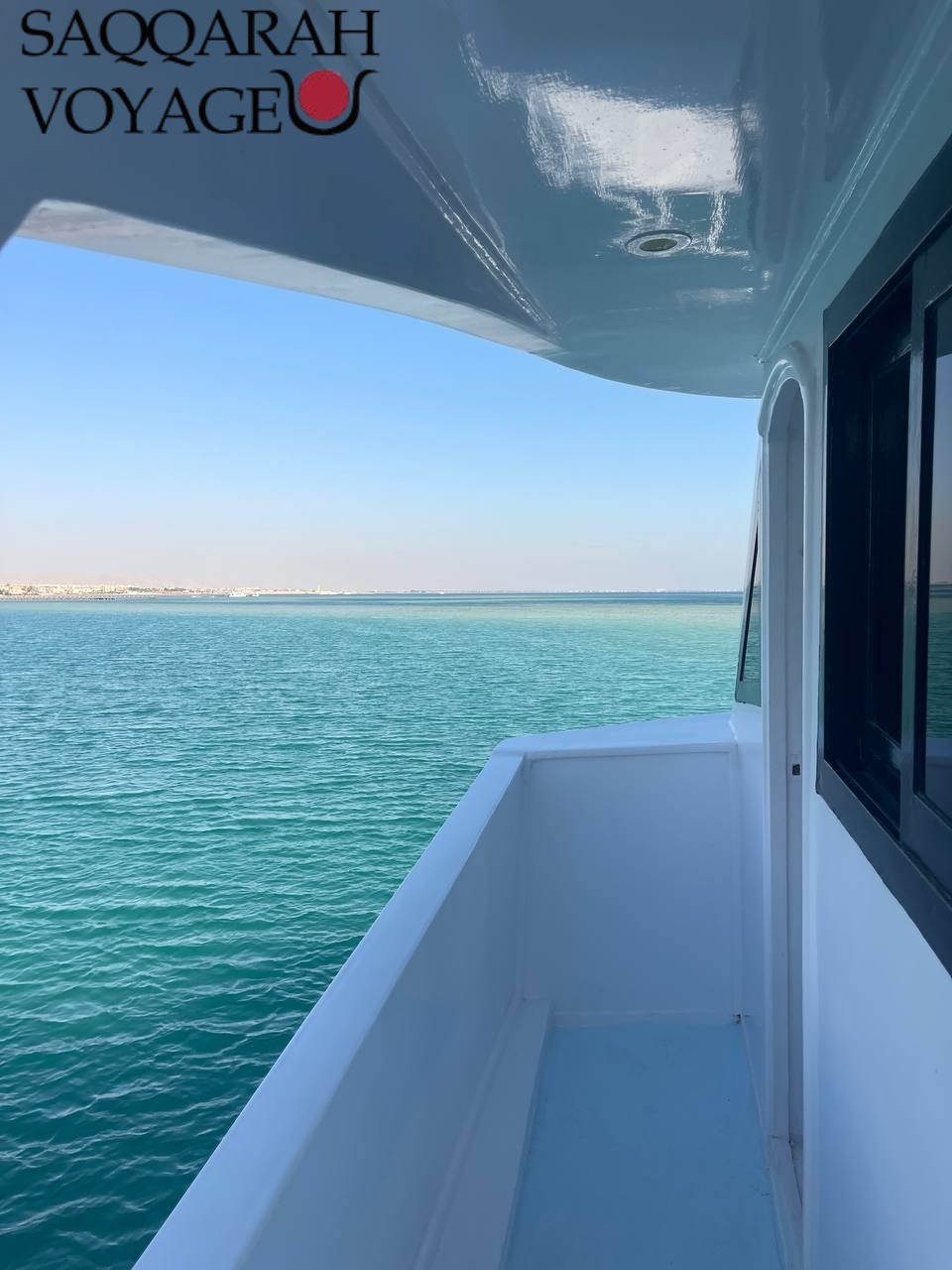 Nage avec les dauphins à Hurghada