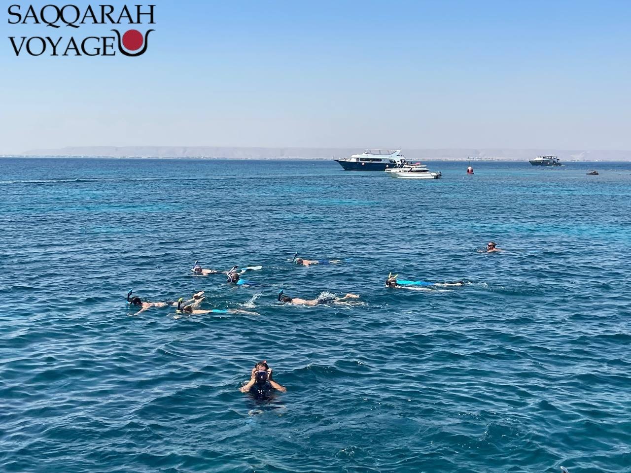 Nage avec les dauphins à Hurghada