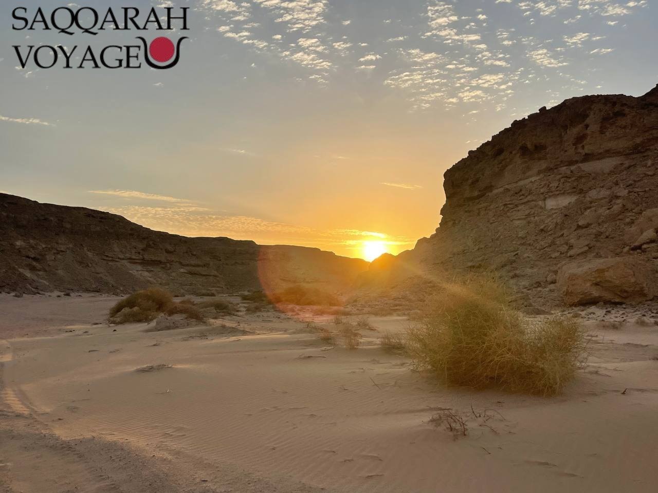 Delfinschwimmen Hurghada Deutsch – Träume werden wahr