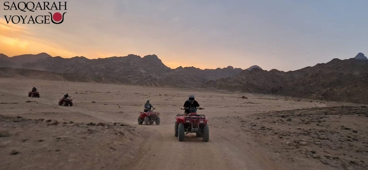 Delfinschwimmen Hurghada Deutsch – Träume werden wahr