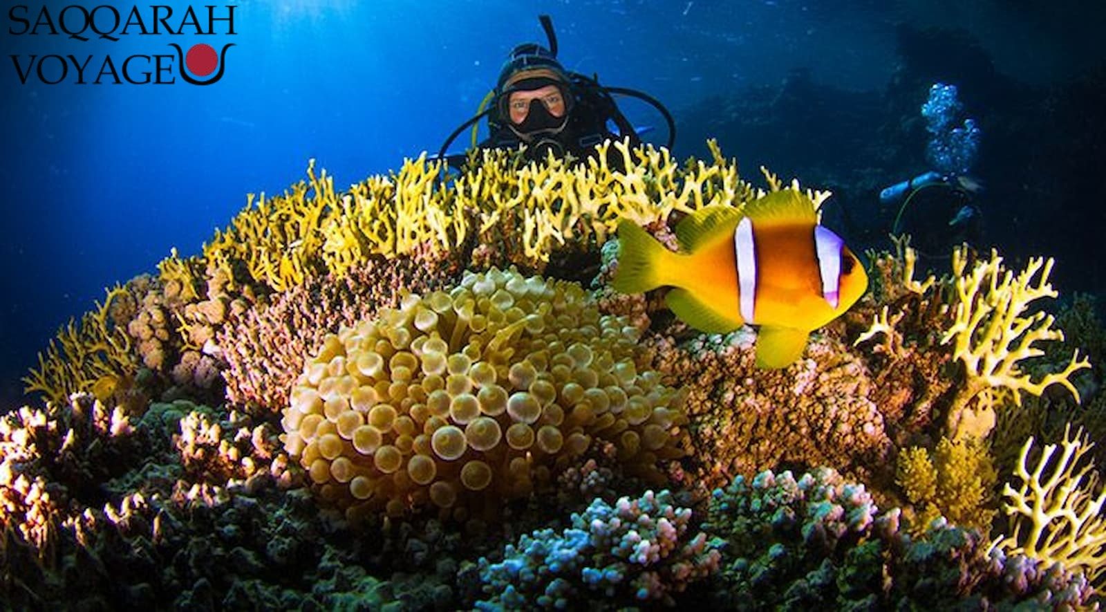 Séance de snorkeling dans les récifs coralliens