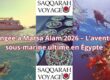 Plongée à Marsa Alam 2026 – L’aventure sous-marine ultime en Égypte
