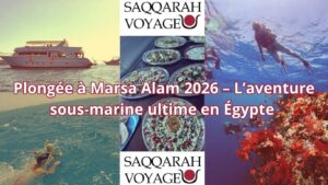 Plongée à Marsa Alam 2026 – L’aventure sous-marine ultime en Égypte