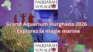Grand Aquarium Hurghada 2026 – Explorez la magie marine