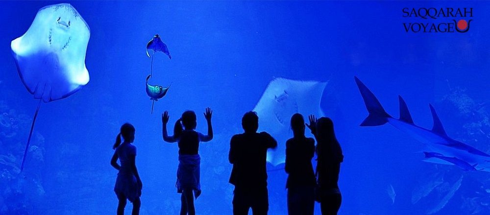 Grand Aquarium Hurghada