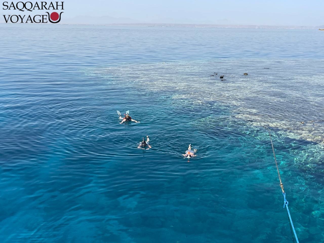 2 Jours croisière dauphin à Hurghada avec plongée egypte 2026