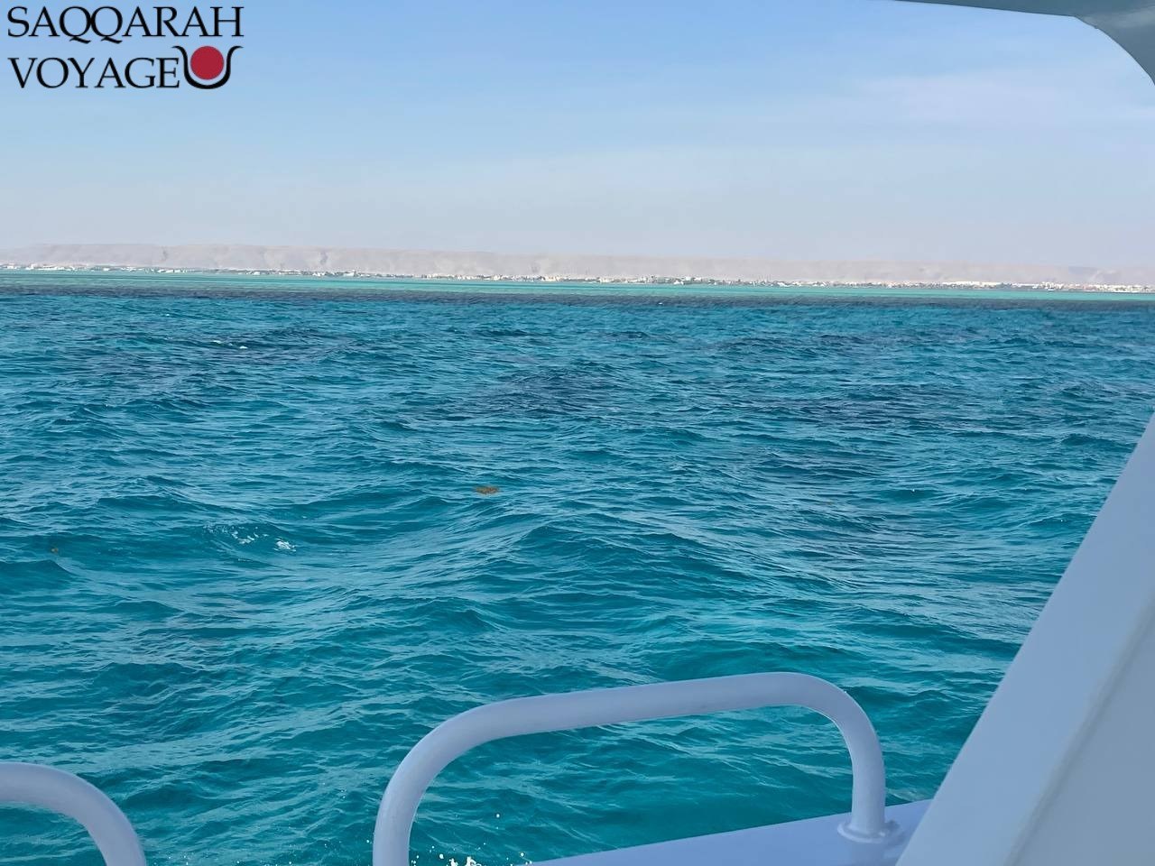2 Jours croisière dauphin à Hurghada avec plongée egypte 2026