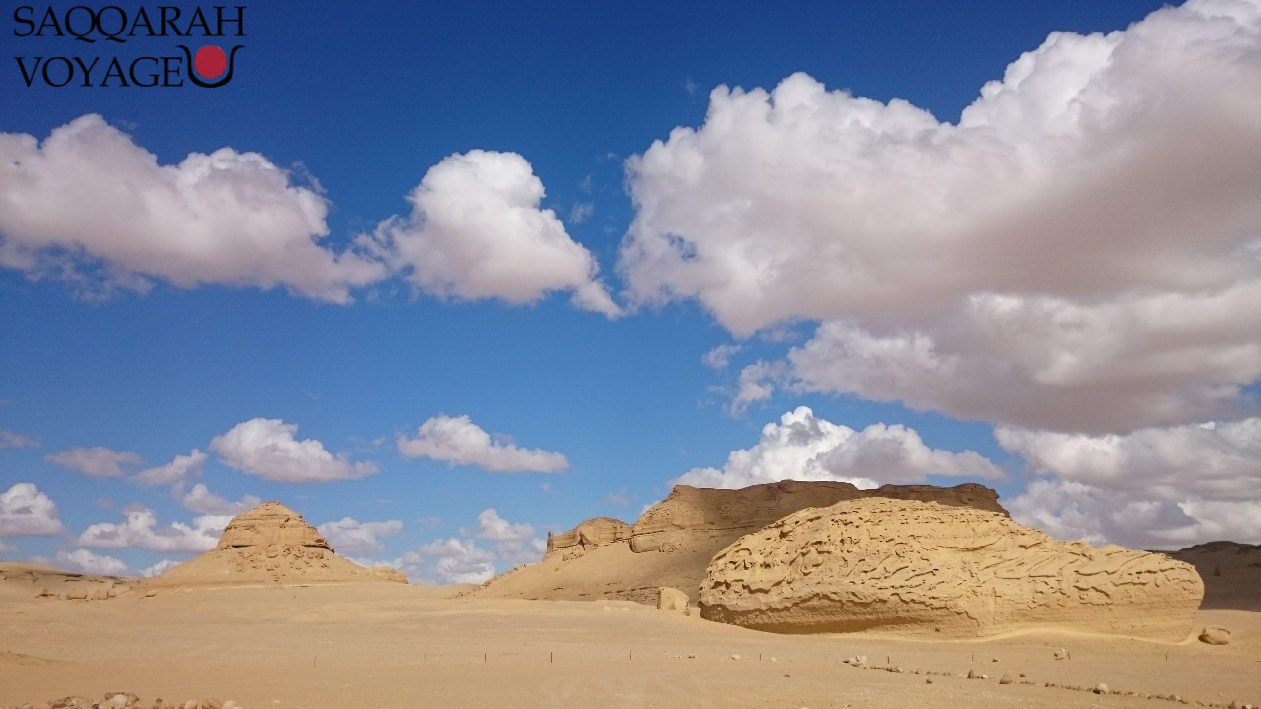 Wadi El Hitan
