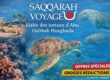 Visite des tortues d'Abu Dabbab Hurghada