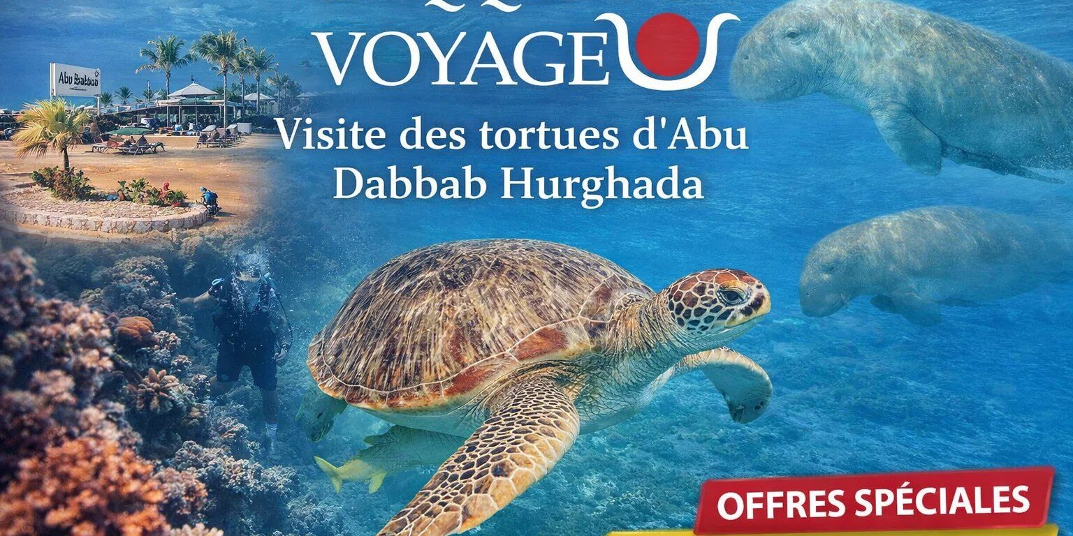 Visite des tortues d’Abu Dabbab Hurghada Visite des tortues d'Abu Dabbab Hurghada